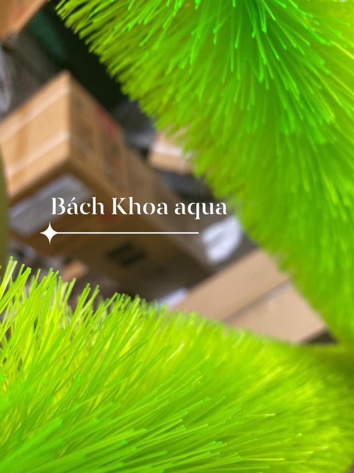 Chổi Lọc Nano Star Mountain Tree